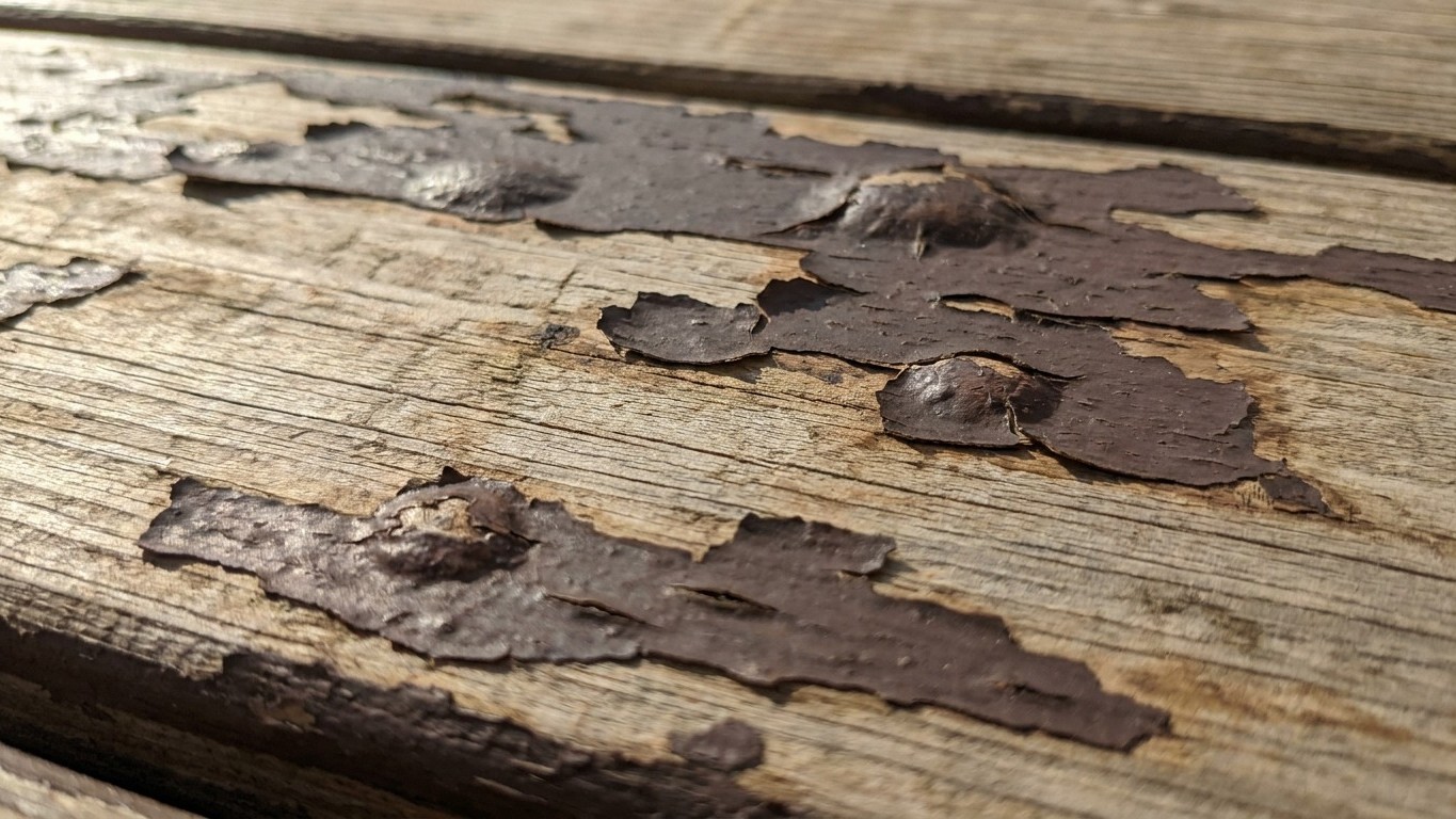 I Stained My Brand-New Deck Too Soon — Here's What I Learned the Hard Way