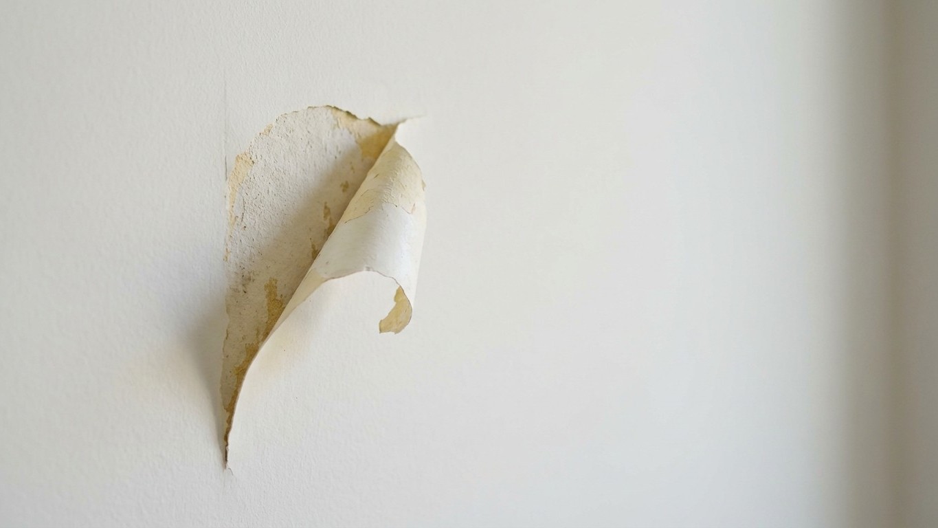 The Hidden Wall Flaw That Determines If Your Paint Lasts 5 Years or Peels in 6 Months — The Critical Step 90% Skip