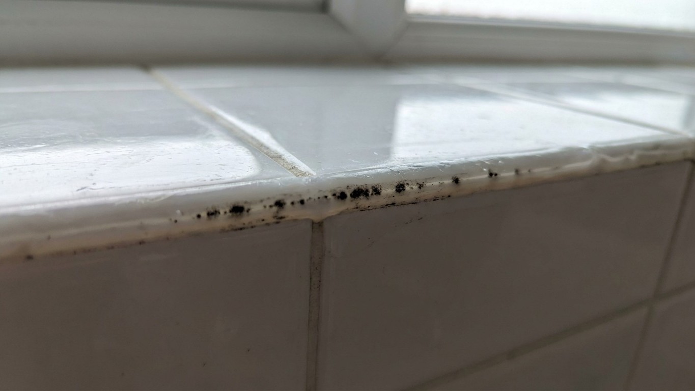 I ran a fresh bead of silicone straight over the old mouldy sealant to save time: when the black spots came back through i...
