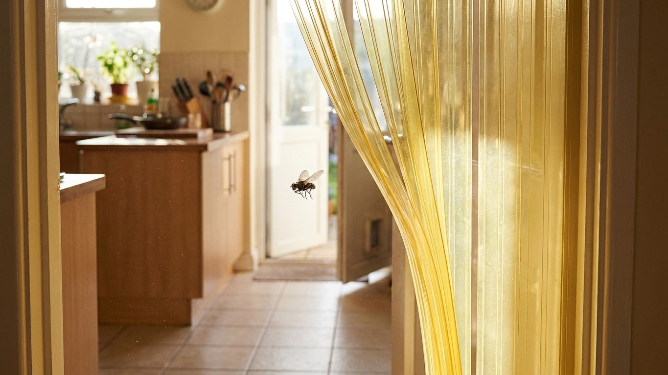 My grandmother always hung strips of plastic over her doorway in summer: I laughed for years before understanding why she ...