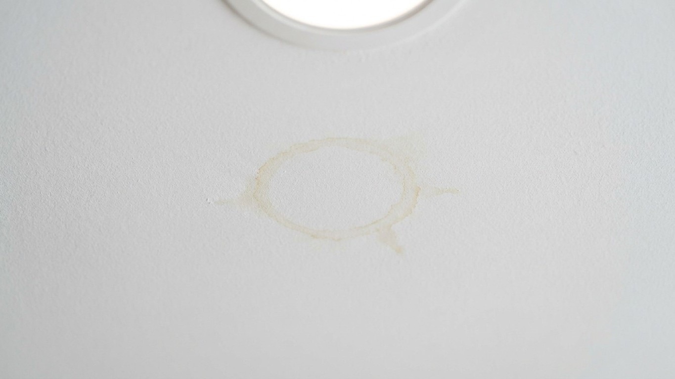 I rollered two coats of matt white over my water-stained ceiling just to be done with it: four days later, standing under ...